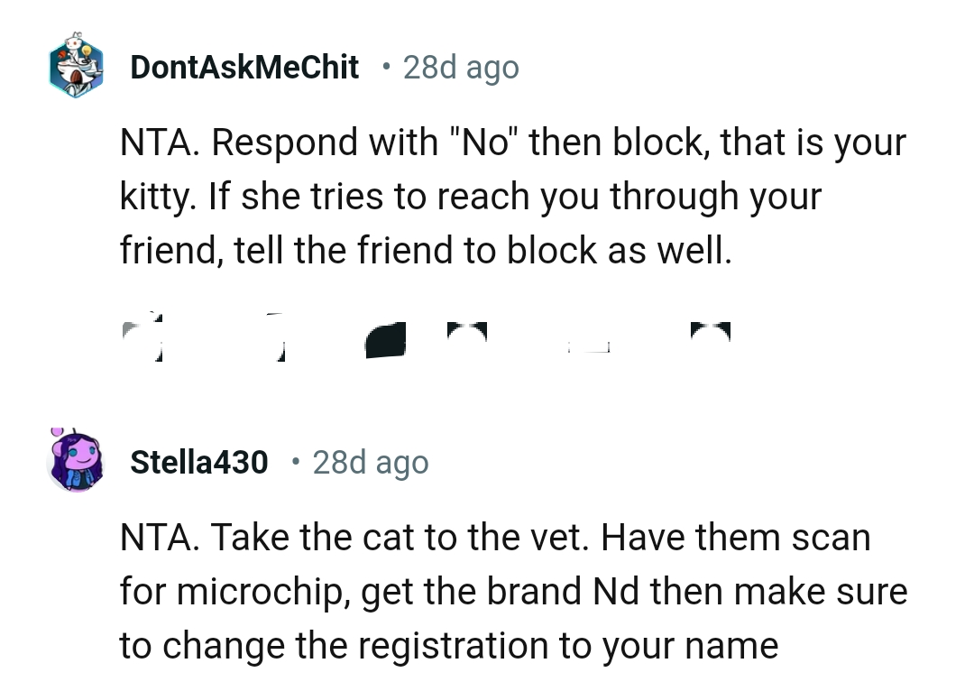 That is the OP's kitty