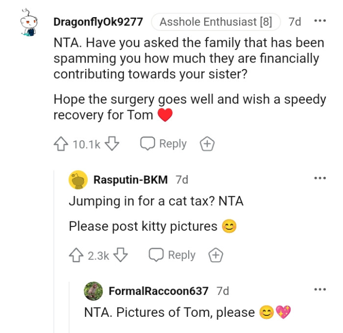This Redditor is wishing a speedy recovery for the OP's cat