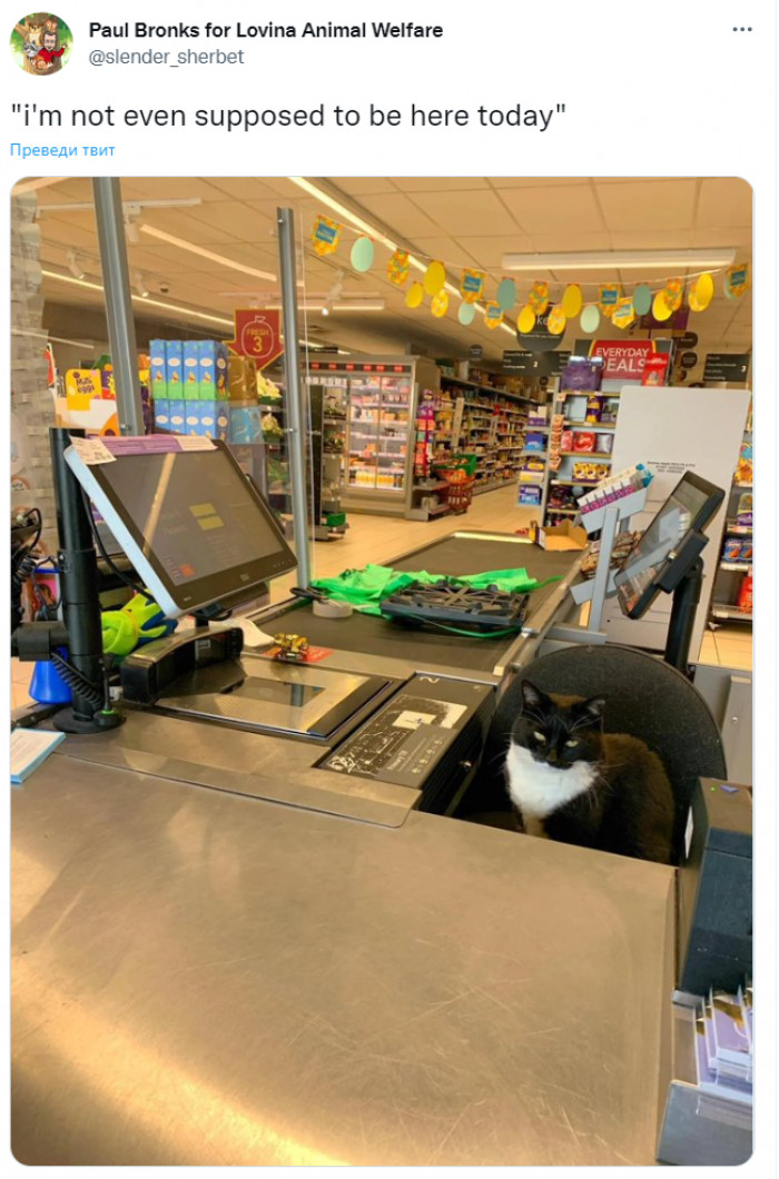 4. "But circumstances made me."