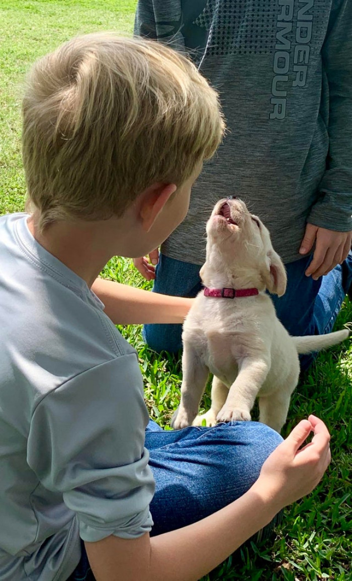 8. "We Didn’t Pick Her; She Picked Us."