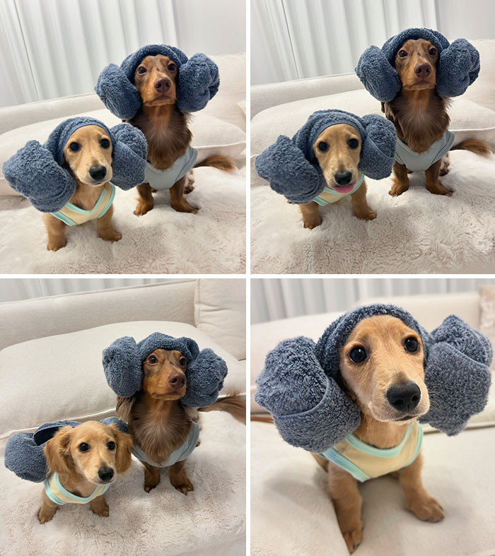 "I Was Taking A Picture Saying "Don't Drop The Towel"
