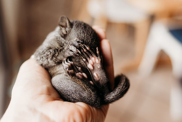 11. Oh no, not today