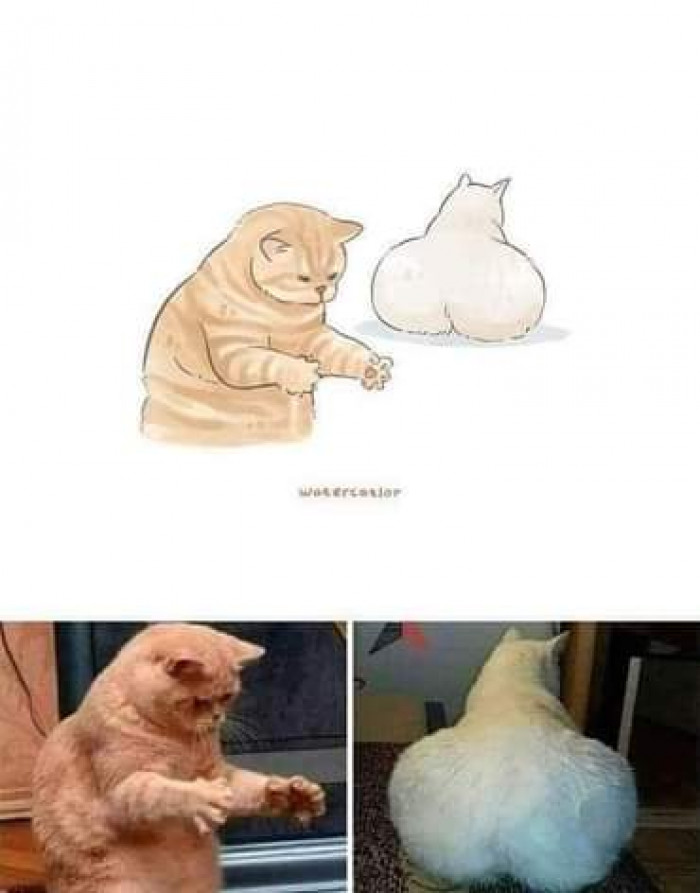 5. Astonished by the sheer wideness