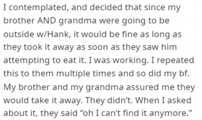 OP was hesitant to let Hank play with the bone her brother brought for him, but she believed that everything would be fine
