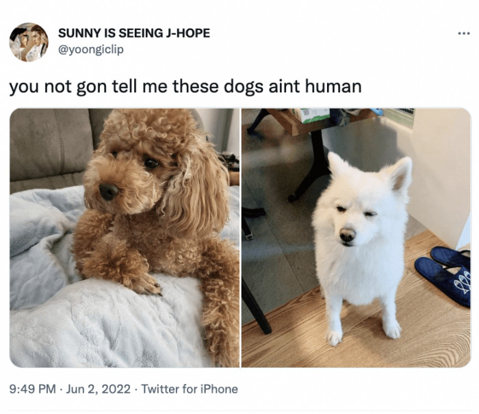 11. Aren't they just so adorable?