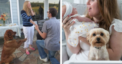 These Pets Photobombed Their Owners So Perfectly They Completely Stole the Show