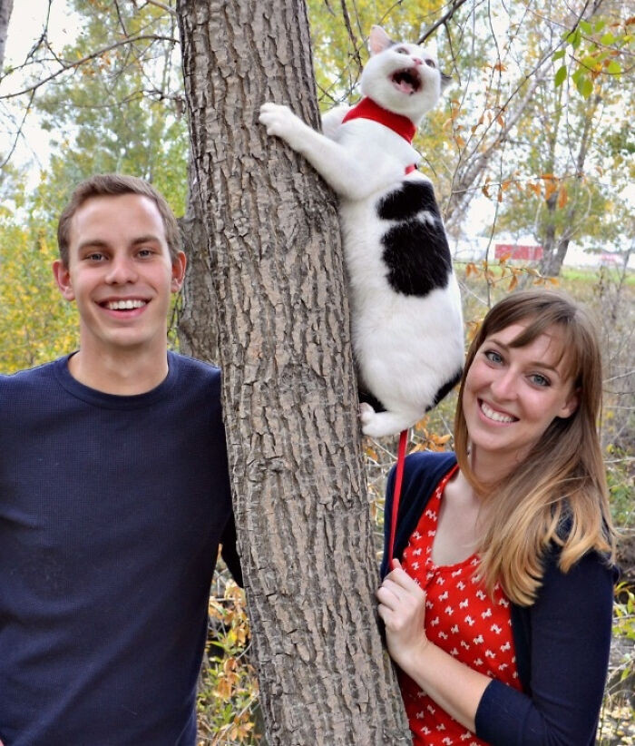 "Family Pictures Including Our Cat Went... Okay"