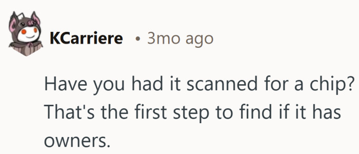 Sometimes the first step is the simplest. Scan the chip, and the story might sort itself out.