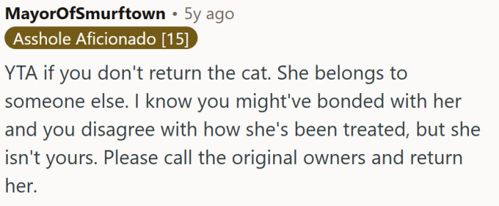 The bottom line is: this cat belongs to someone else