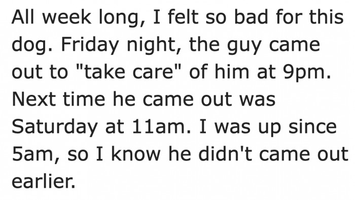 The OP Felt Bad for the Dog.