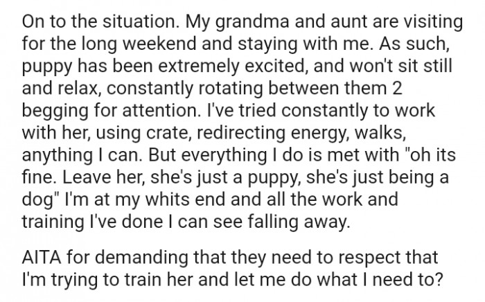 I've tried constantly to work with her, using a crate, redirecting energy, walks, anything I can