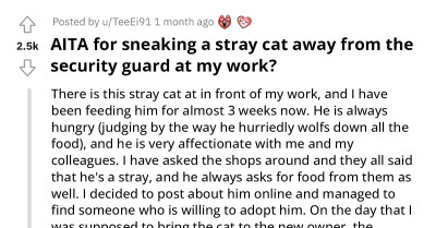 Lady Finds New Home For A Stray Cat That Was Hanging Around Her Workplace, But Security Guard Won't Let Her Take It Out