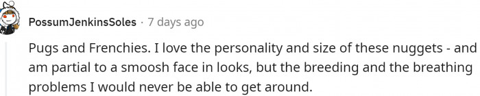 Pugs and French Bulldogs