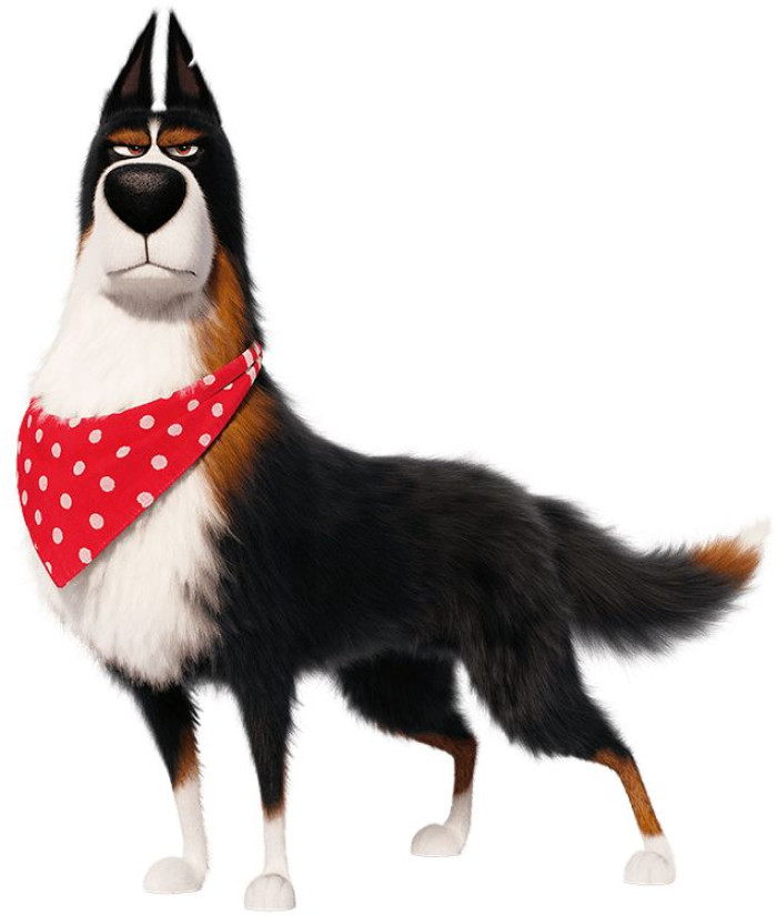 Funny Disney Dog Names