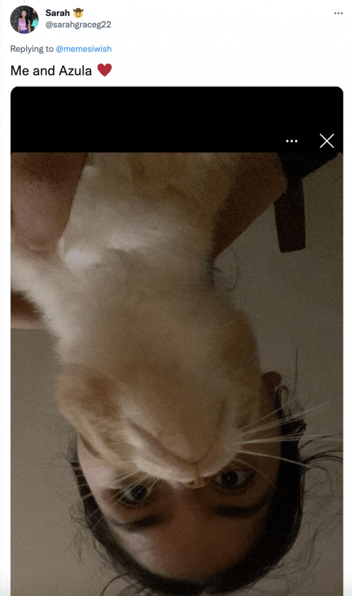 11. Azula is surely having a good time photo-bombing his hooman's photo