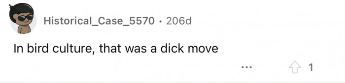 Birds would not be cool with what Op did.