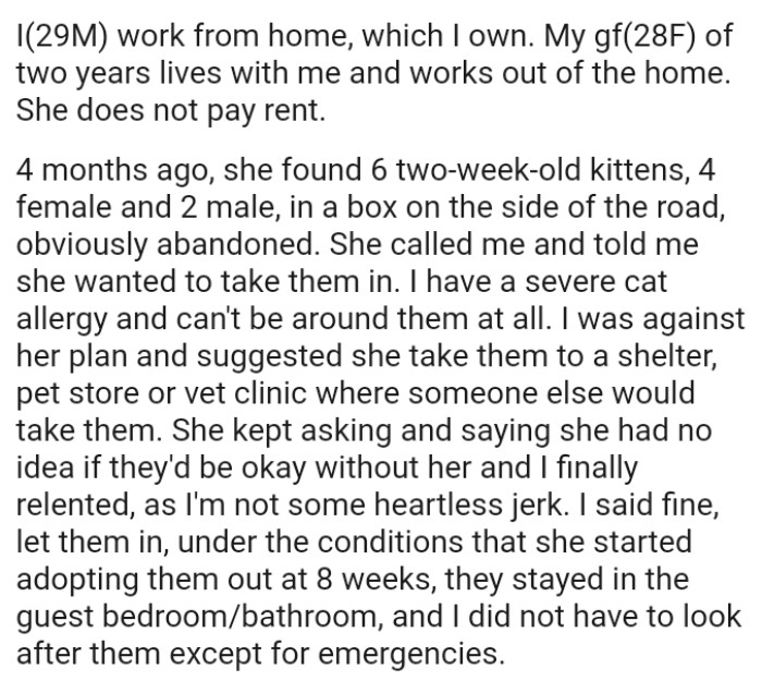 OP was against her plan and suggested she take them to a shelter, pet store, or vet clinic.