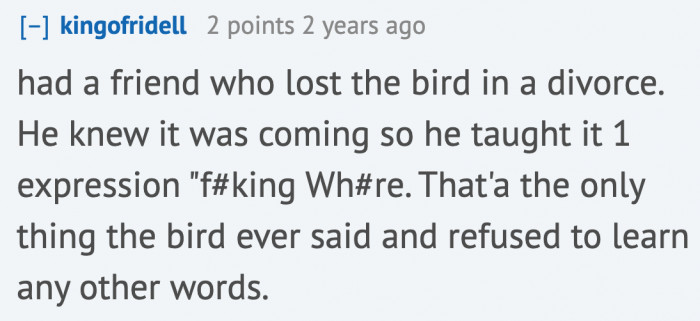 Man teaches the bird to insult his ex-wife.