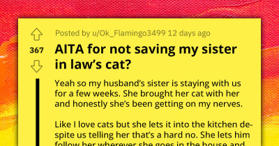 Delusional and Entitled Woman Expects Host to Prioritize Her Cat's Safety Over Baby's Safety