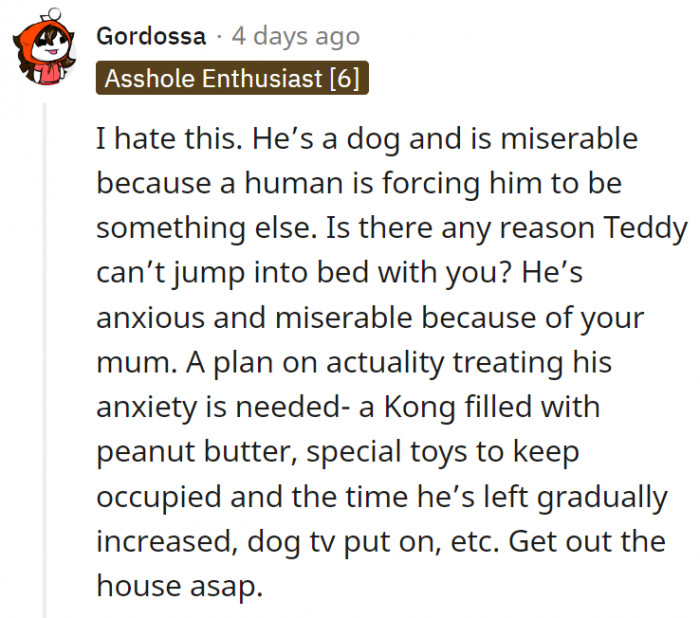 16. A plan is needed to help Teddy with his anxiety.