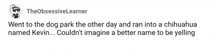 14. Not a terrible name at least