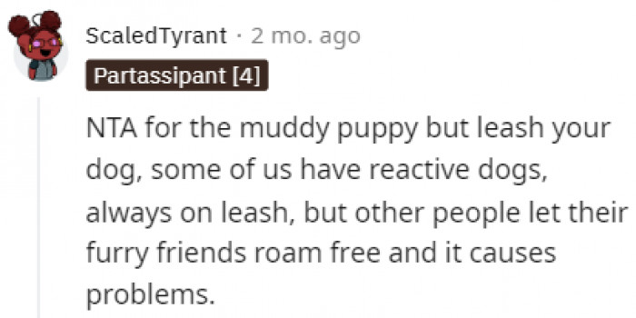 People didn't appreciate that the older dog wasn't on a leash.