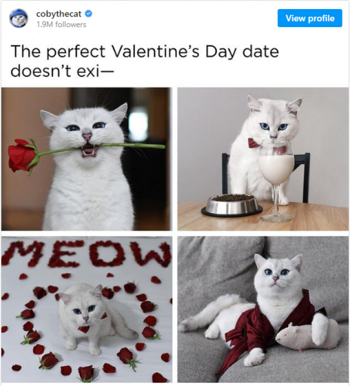 5. With our furry friends, any day can be Valentine's Day