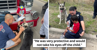 Random Dog Stays With Lost Toddler With Downs Syndrome Until He's Found
