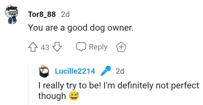 17. Being a good dog owner