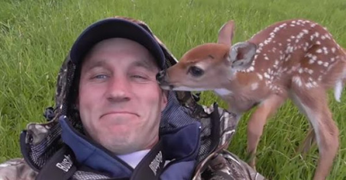 Darius Sasnauskas, an outdoorsman from Lithuania who lives near Yellowstone National Park in the United States, saved an injured baby deer.