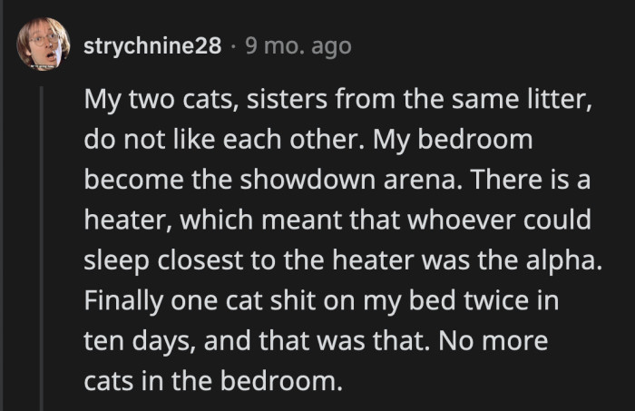 24. The sibling rivalry that will never end