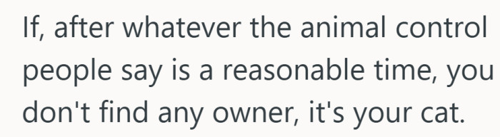 A reassuring take that turns the chaos into a timeline. Give it a fair shot, and if no owner appears, the cat chooses you.