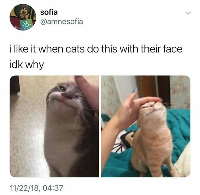 39. “When they activate the ‘approval received’ expression.”