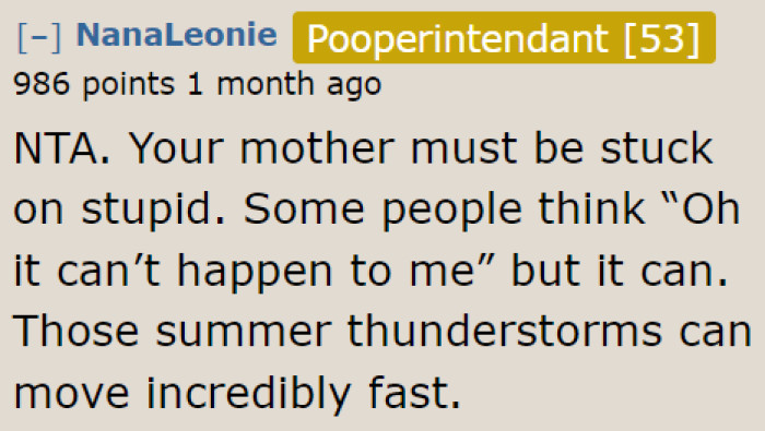 "Stuck on stupid" best describes the mom in this situation, according to a user.