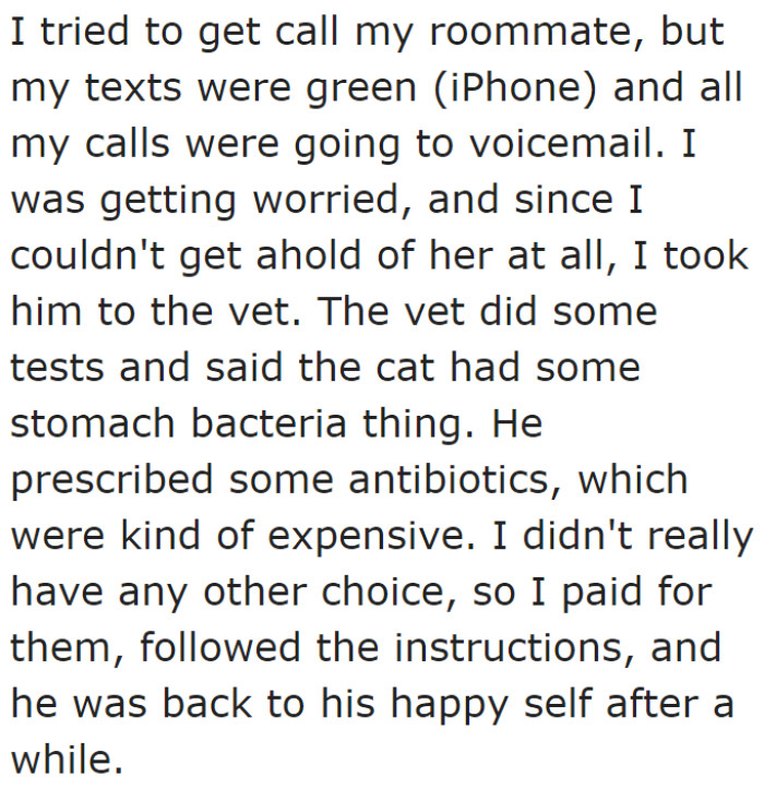 The concerned OP decided to take the cat to the vet and discovered that it had stomach bacteria.