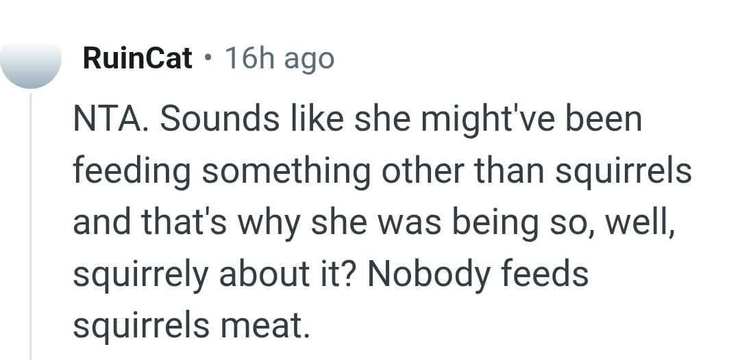 She might have been feeding something else other than the squirrels