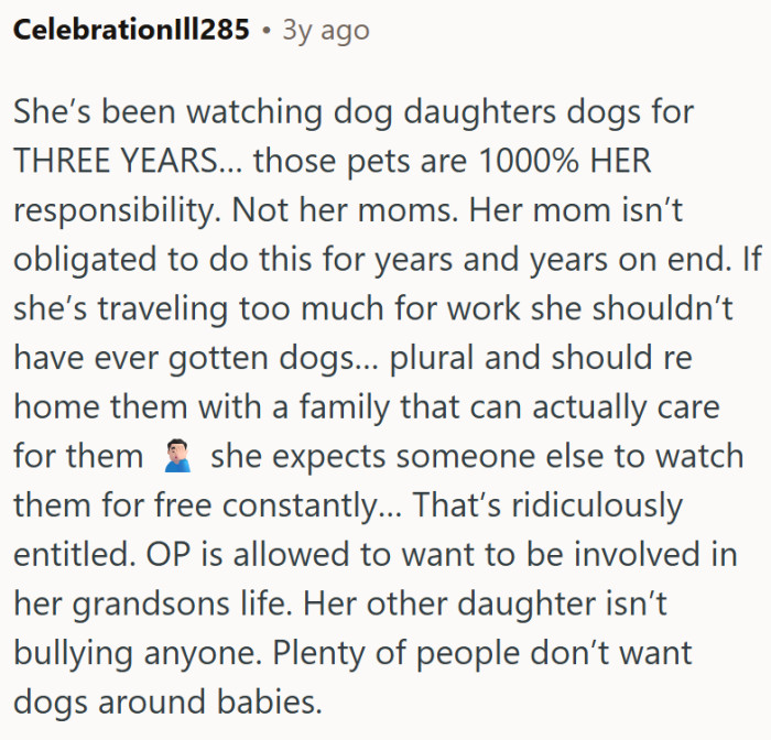 These dogs are not OP's responsibility.