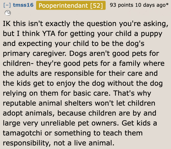 Adults should always be involved in caring for a dog. They can't just leave it up to their children.