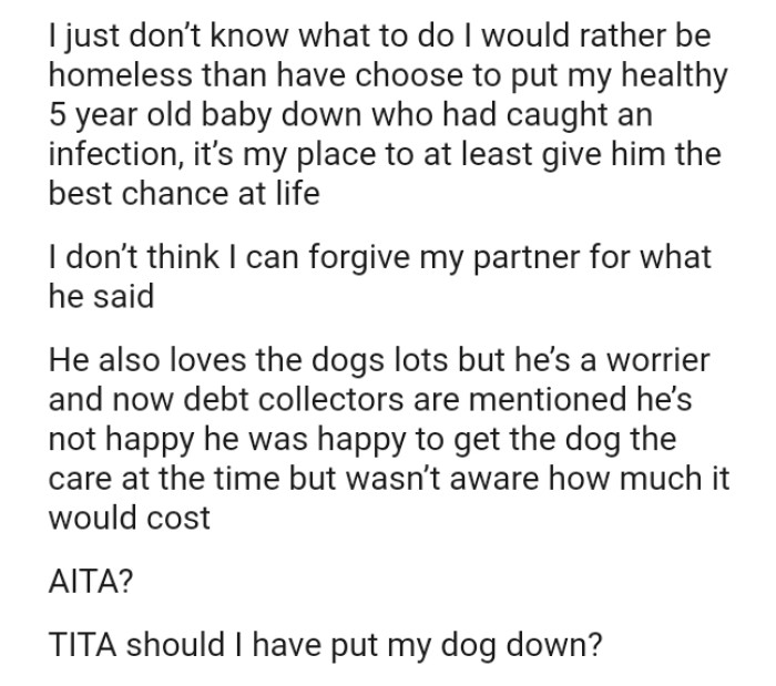 The OP's partner also loves the dogs a lot, but he’s a worrier