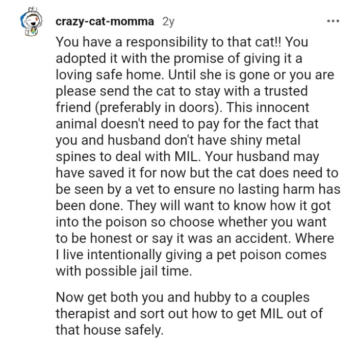 The innocent cat shouldn't have to deal with the consequences of not having the spine to confront the mother-in-law