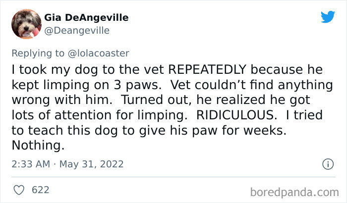 #19 Pets are really becoming wittier as time goes by.