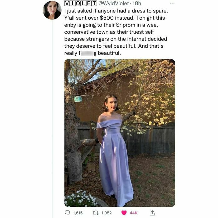 53. People online helped support a non-binary senior buy a dress for prom
