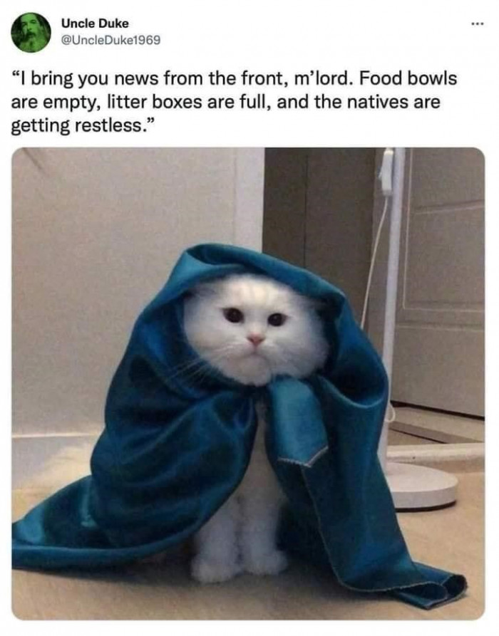 10. Attend to these troubling issues as soon as possible