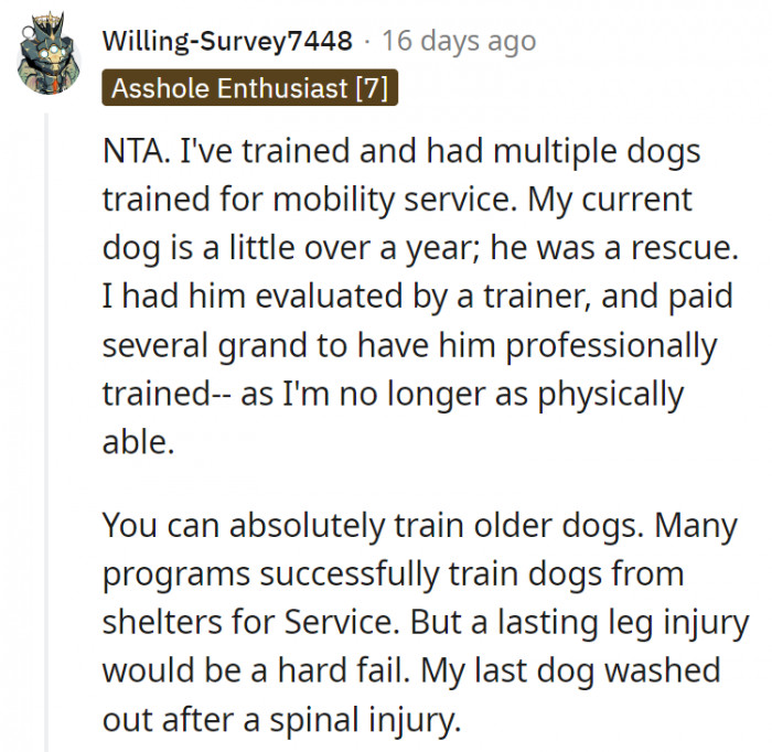 7. It's never too late to train a dog as long as it's done right