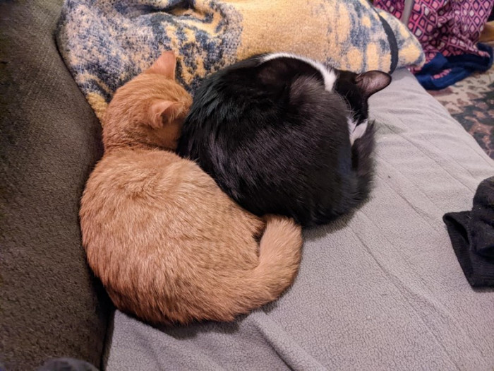 It's a lot of work but everything is fine