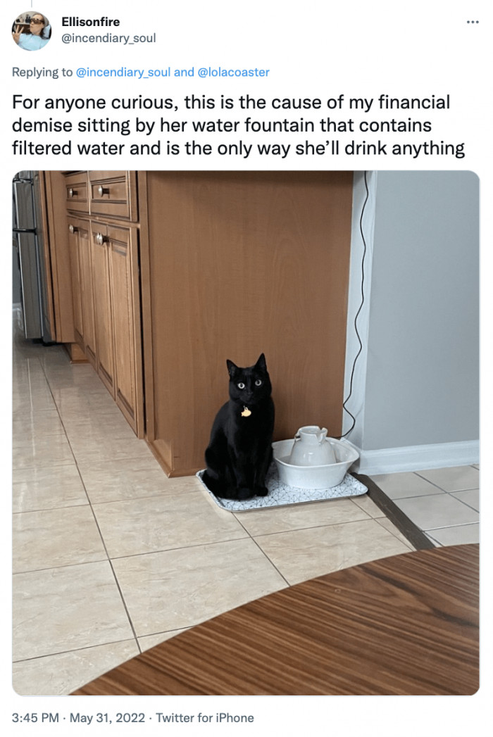 13. The Cause of My Financial Demise