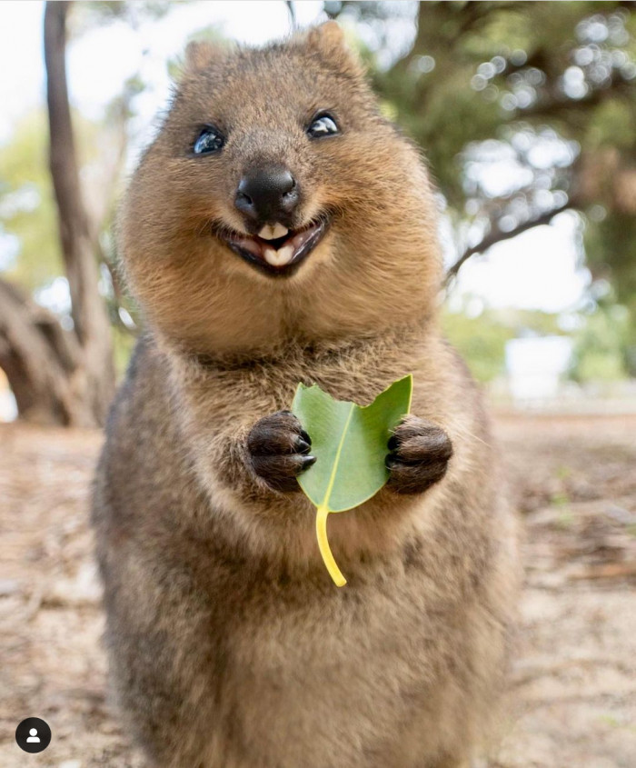 Whenever you see the waiter with your food after finishing half of the appetizers