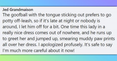 12 Priceless And Hysterical Moments Of Pets Embarrassing Their Owners In Public