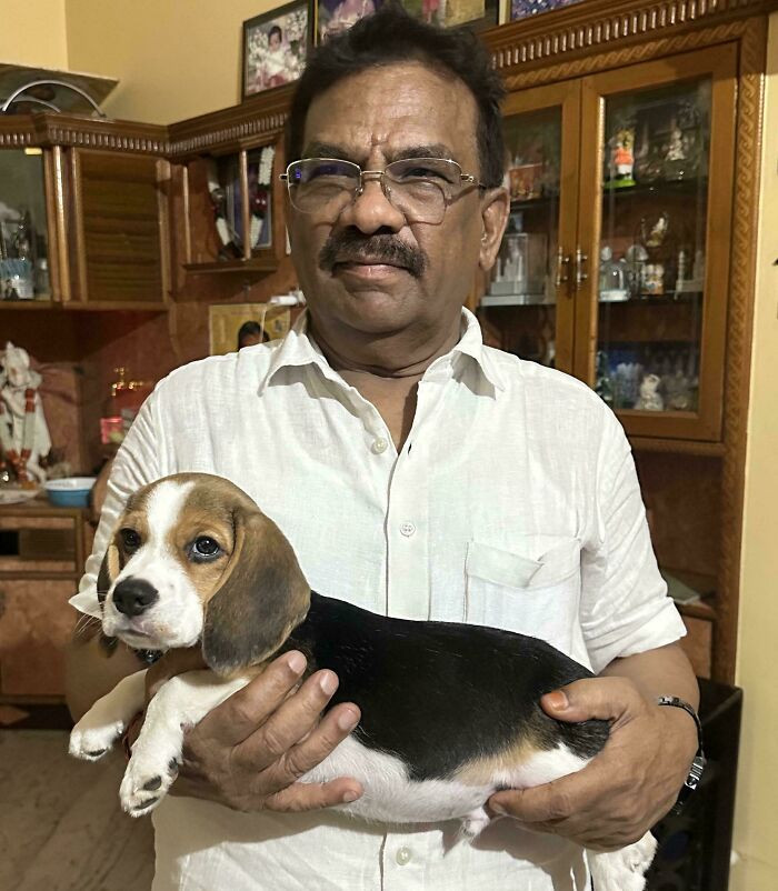 "After Saying No To Getting A Dog For 20 Years He Gave In And These Two Just Won’t Separate"