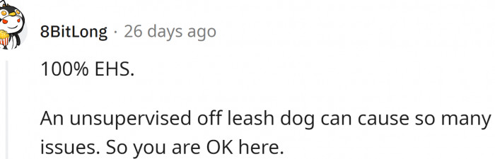 An unsupervised off-leash dog can cause so many issues. But the way OP takes care of their dog is just as bad.